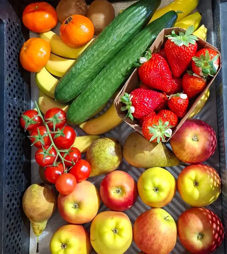 Originale BIOSIVA-Frischekiste mit Äpfeln, Birnen, Bananen, Gurken, Tomaten und Erdbeeren.